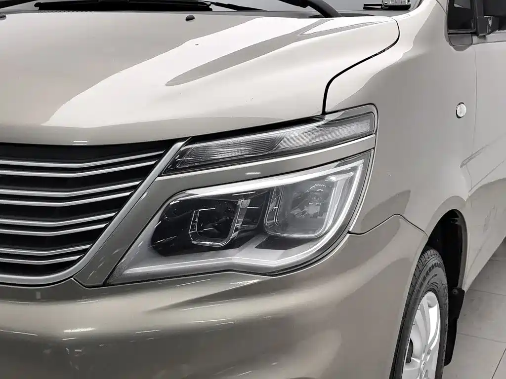 Dongfeng Lingzhi 2019 — фото 7