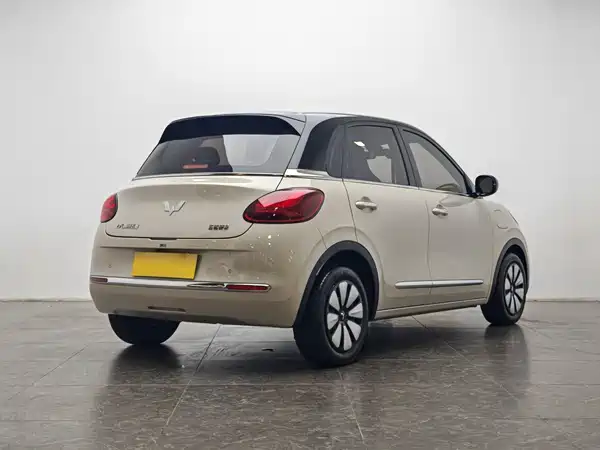 Wuling Bingo 2024