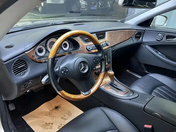 Mercedes-Benz CLS 2010