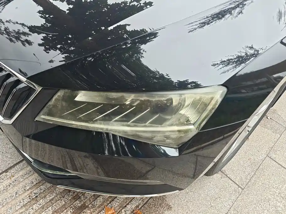 Skoda Speedy 2018