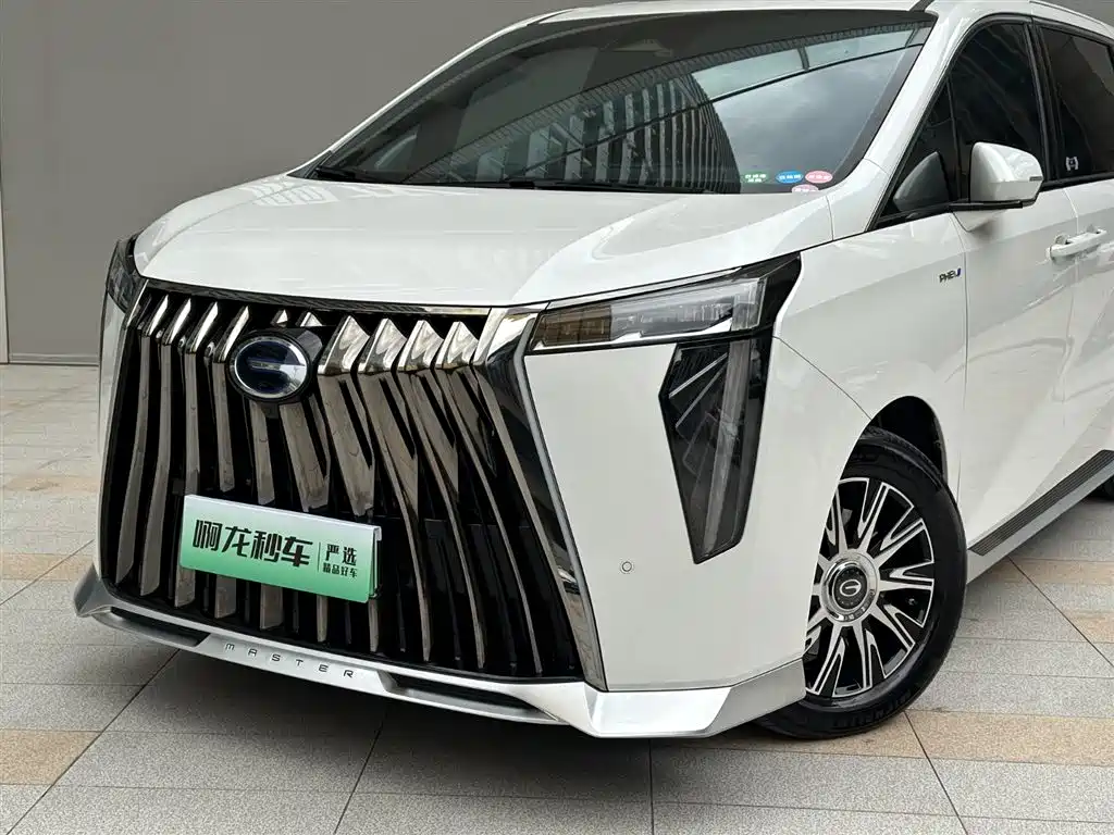 GAC Motor Trumpchi E9 2024 — фото 15