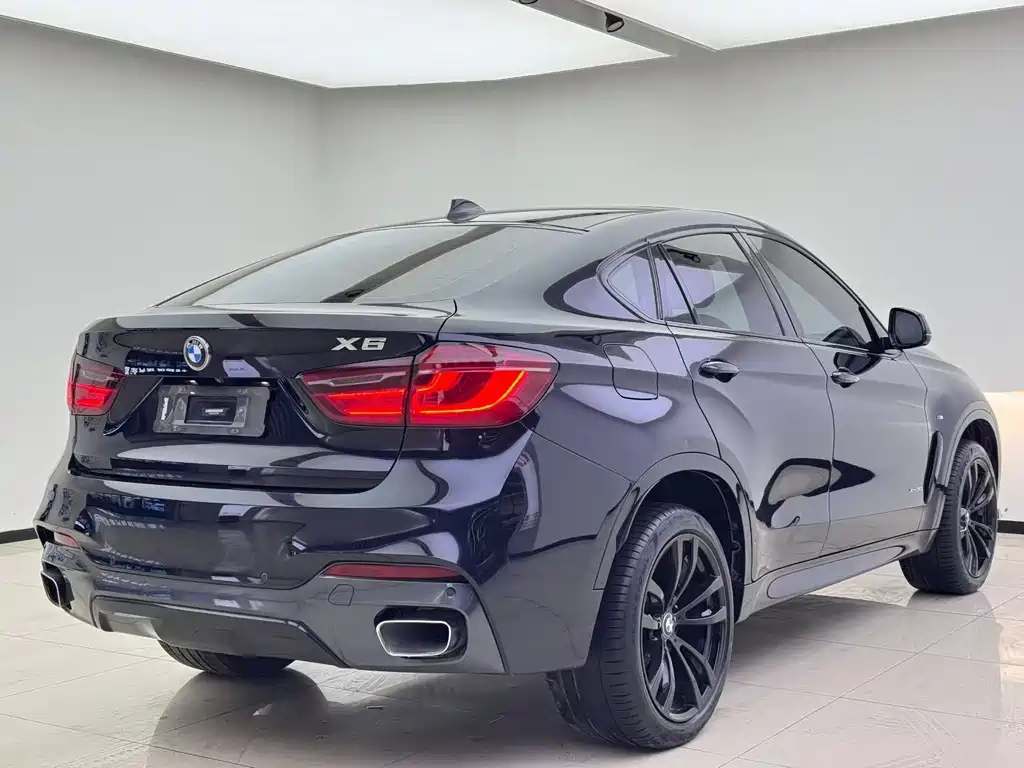 BMW X6 2017 — фото 7