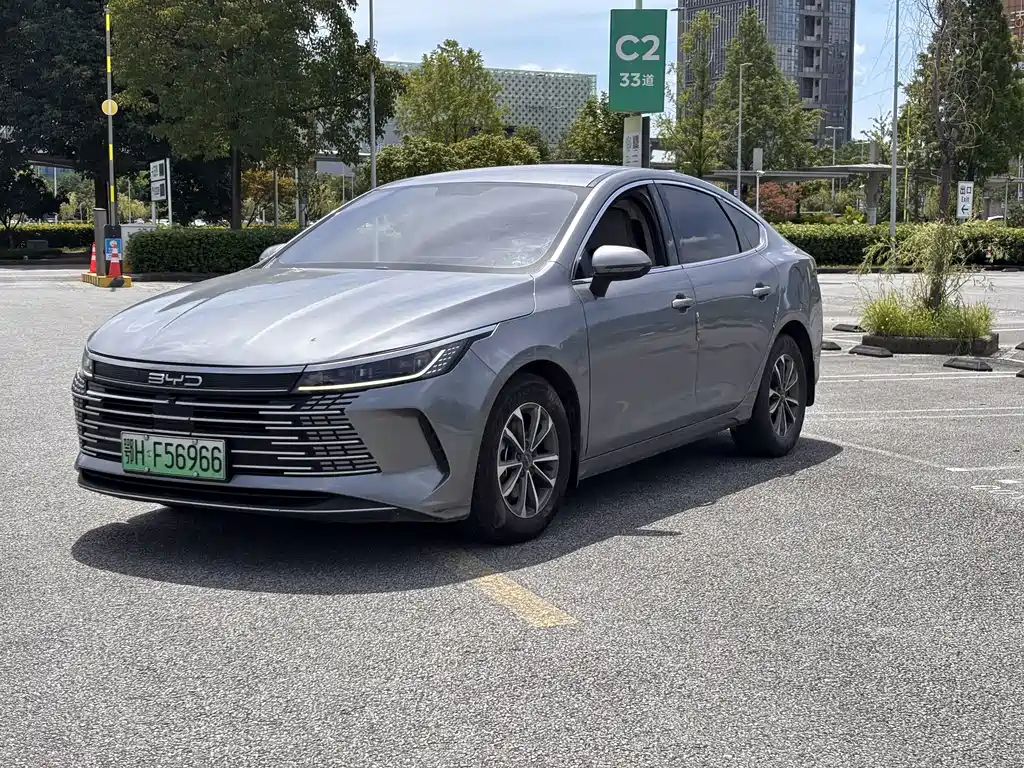 BYD Destroyer 05 2023 — фото 1