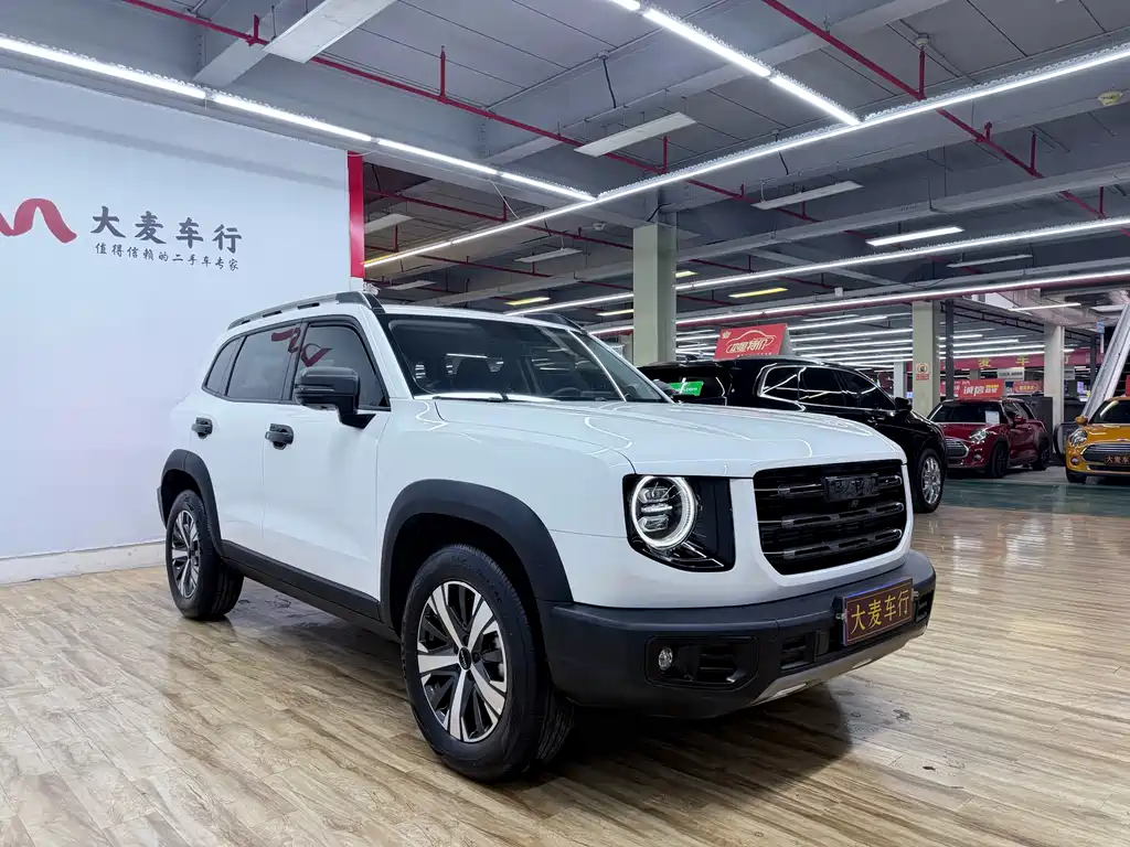 Haval Big Dog 2021 — фото 3