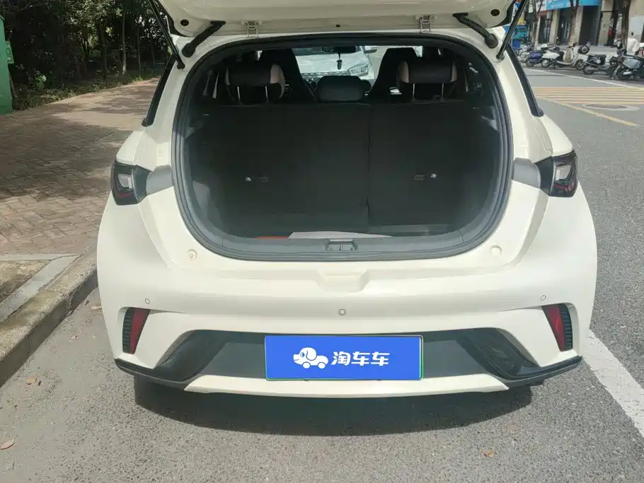 BYD Dolphin 2023