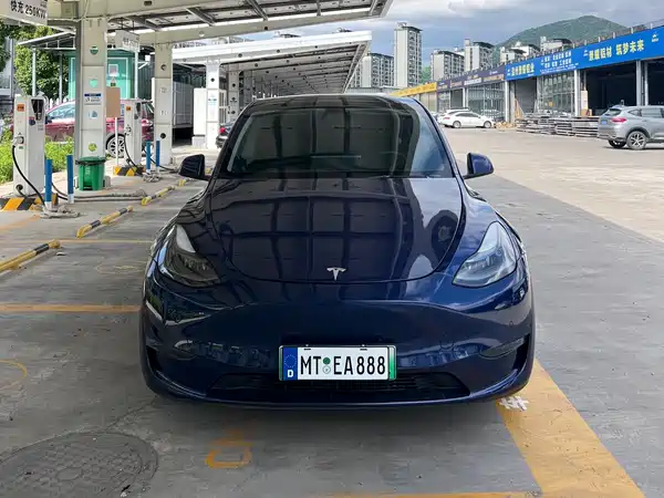 Tesla Model Y 2021