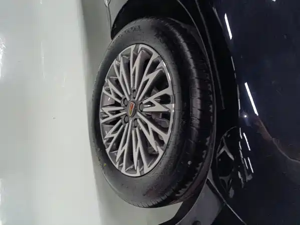 Hongqi H5 2024