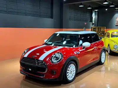 MINI MINI 2020