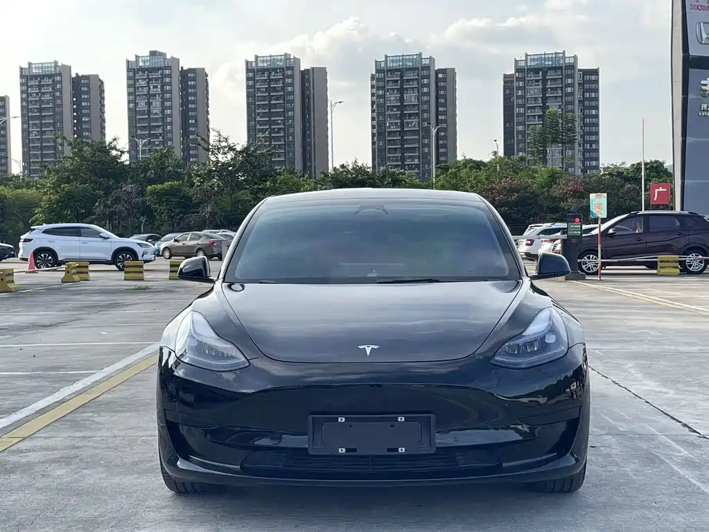 Tesla Model 3 2022 — фото 2