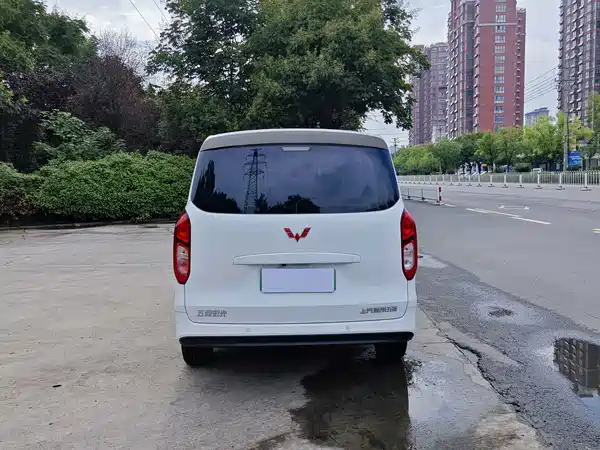 Wuling Hongguang New Energy 2025