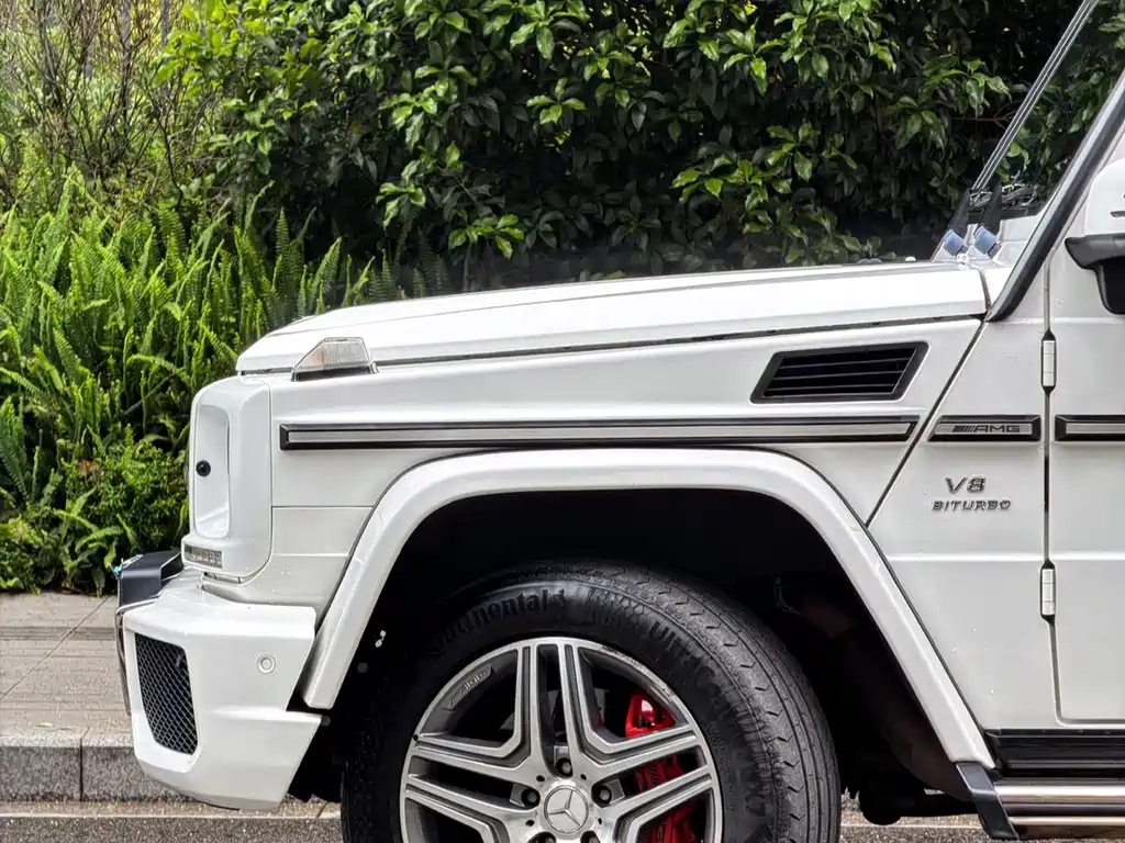 Mercedes-Benz G-Class AMG 2018 — фото 4