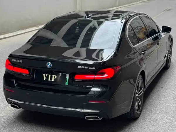 BMW 5 Series New Energy 2022