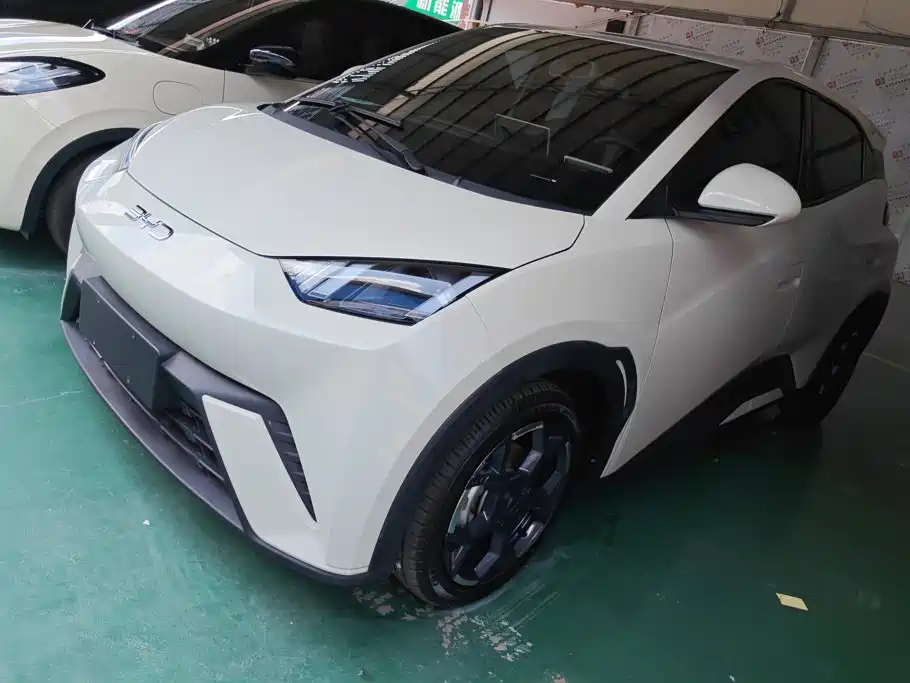 BYD Seagull 2024