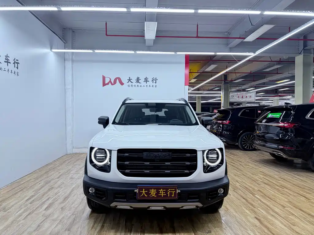 Haval Big Dog 2021 — фото 2