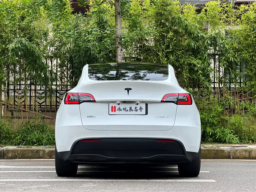 Tesla Model Y 2021 — фото 10