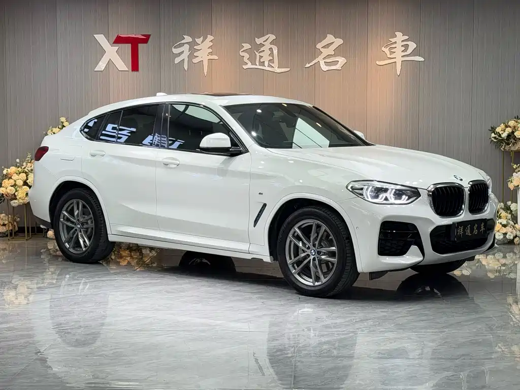 BMW X4 2019 — фото 3