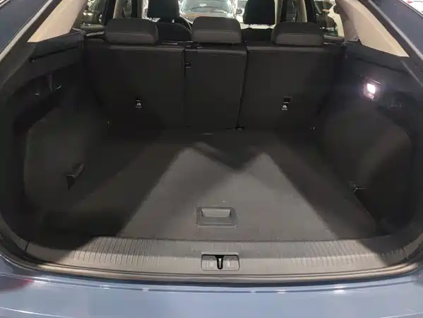 Volkswagen Tanyuex 2020