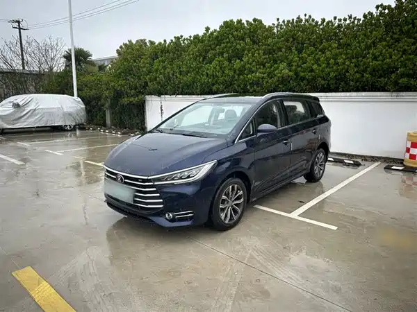 BYD Song MAX 2019