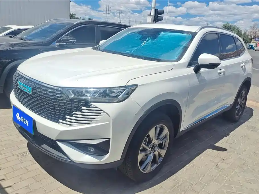 Haval H6 New Energy 2024 — фото 1