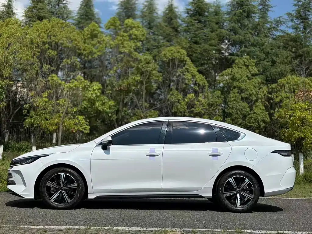 BYD Destroyer 05 2023 — фото 10