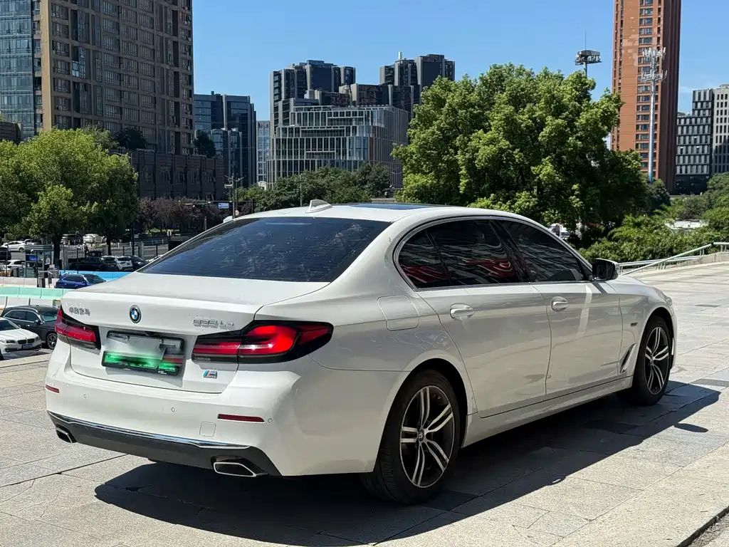 BMW 5 Series New Energy 2021