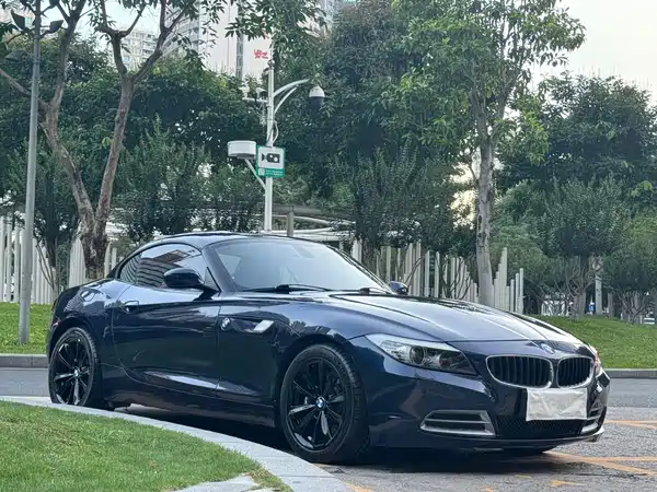 BMW Z4 2009