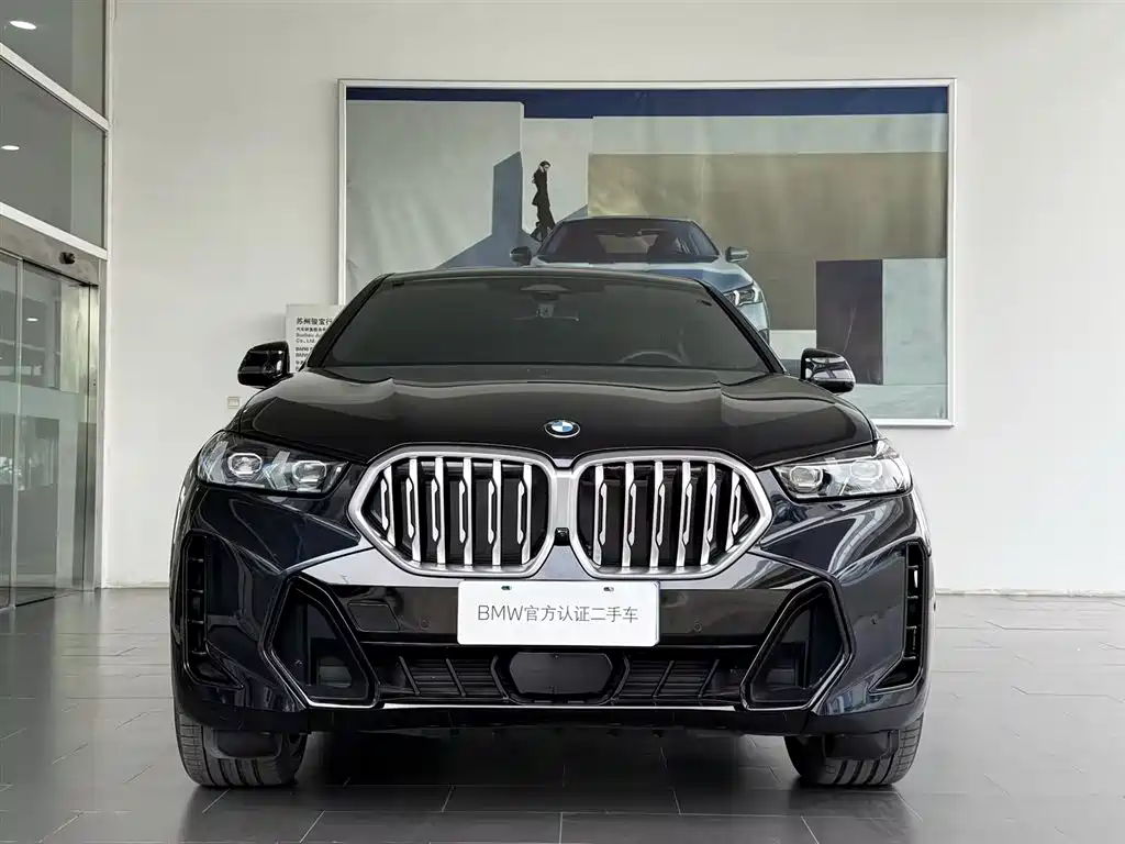 BMW X6 2025 — фото 3