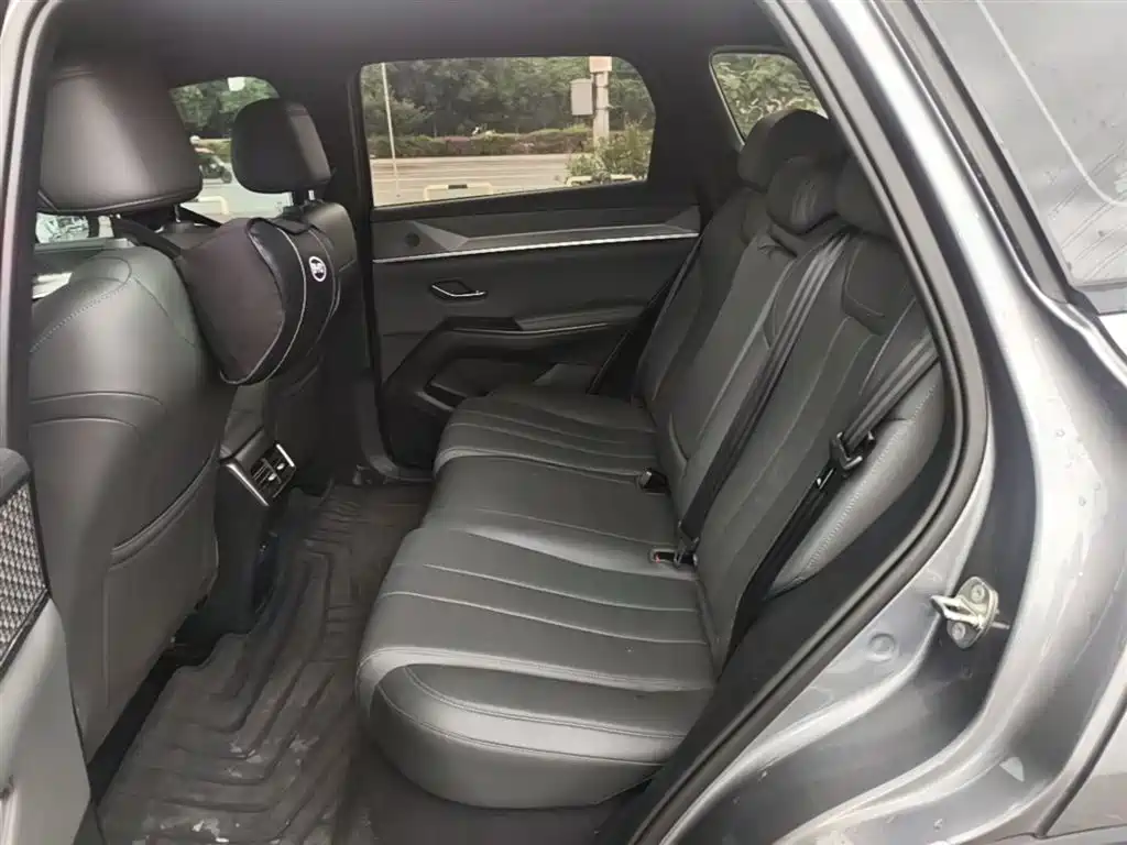 BYD Pro New Energy 2025 — фото 17