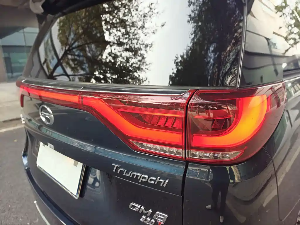 GAC Motor Trumpchi M8 2019 — фото 22