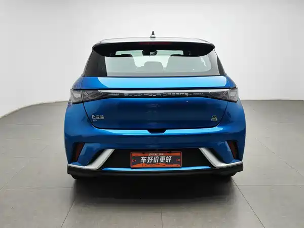 BYD Dolphin 2022