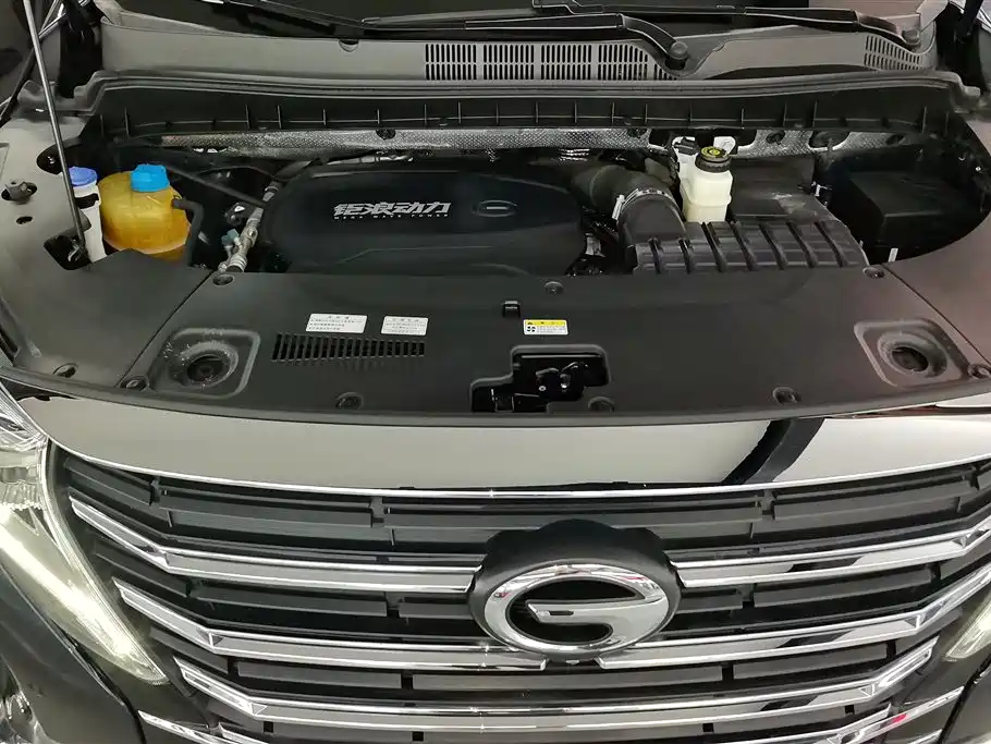 GAC Motor Trumpchi M8 2021 — фото 10