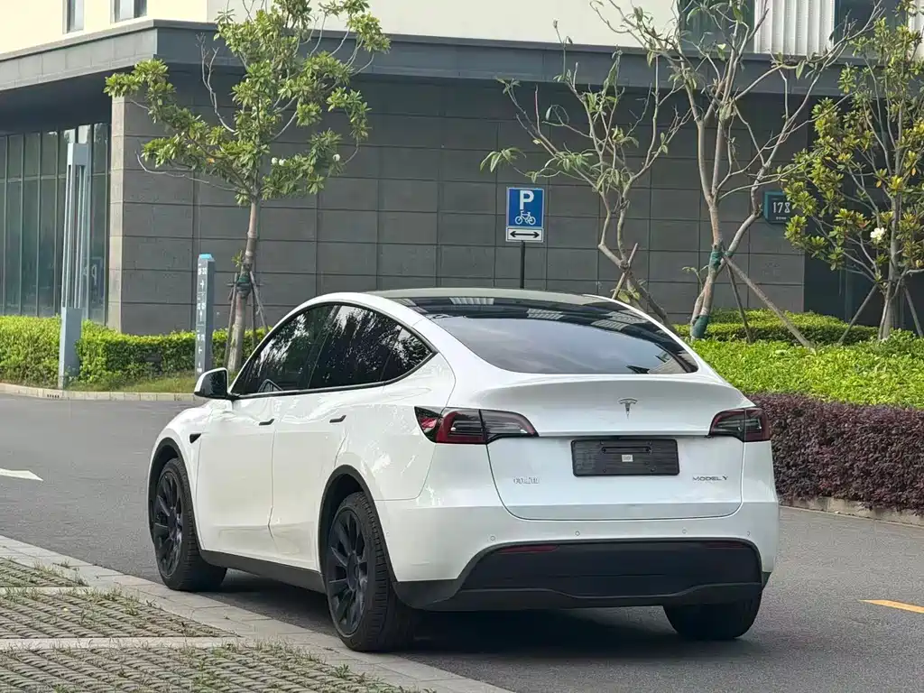 Tesla Model Y 2021 — фото 4