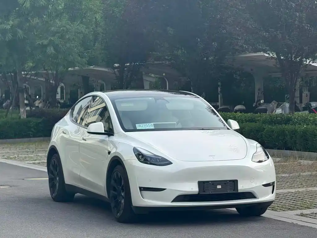 Tesla Model Y 2021 — фото 1