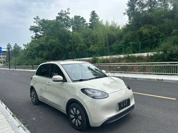 Wuling Bingo 2023