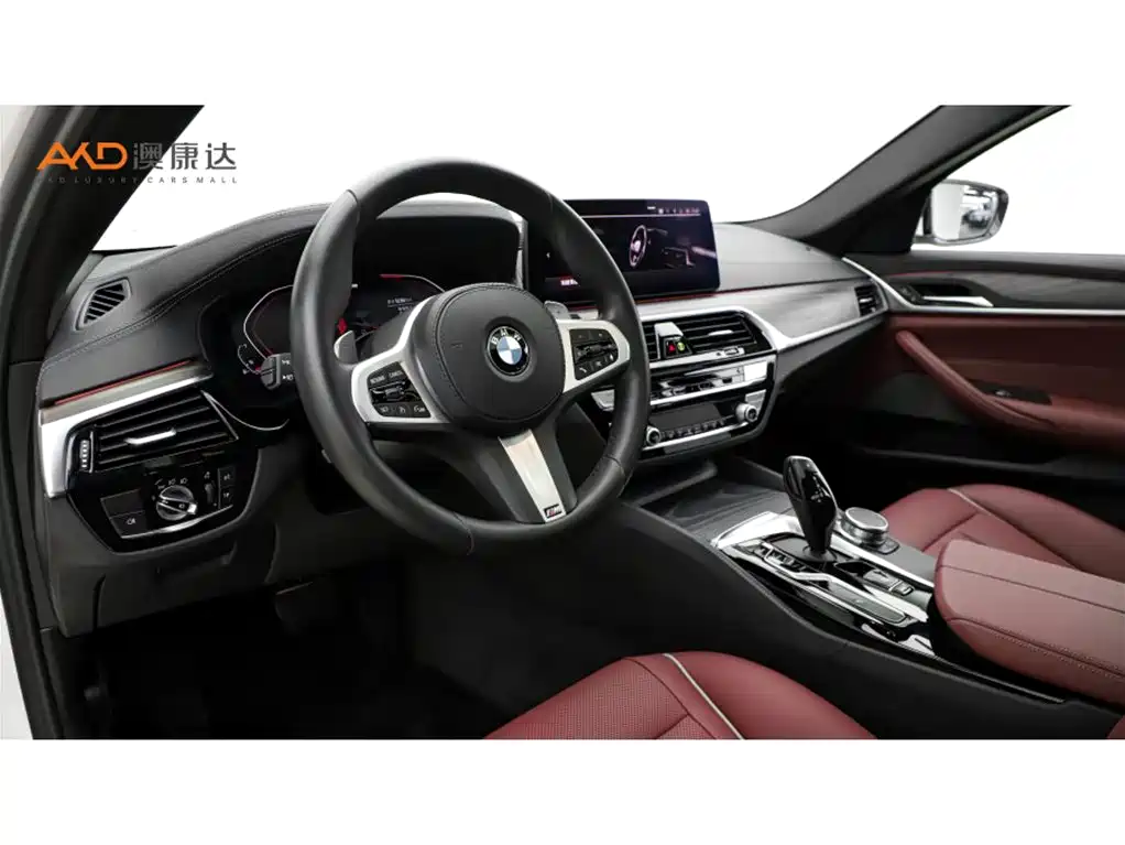 BMW 5 Series 2021