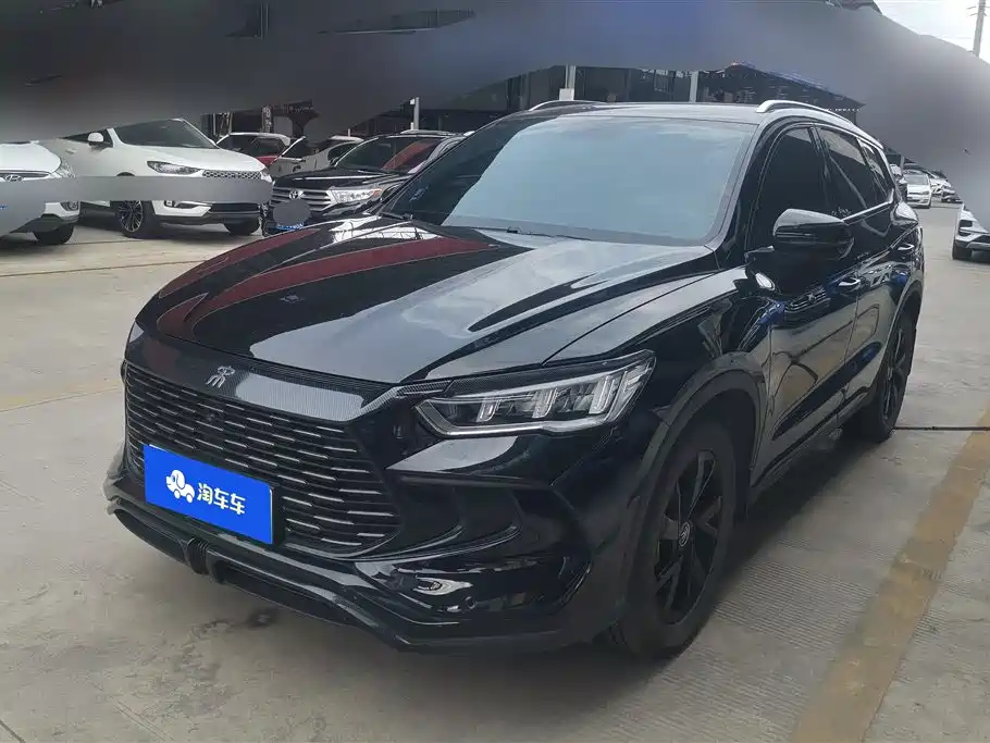 BYD Pro New Energy 2024 — фото 1