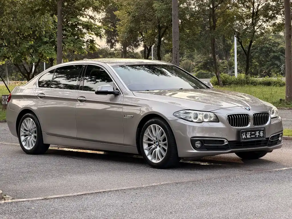 BMW 5 Series 2015