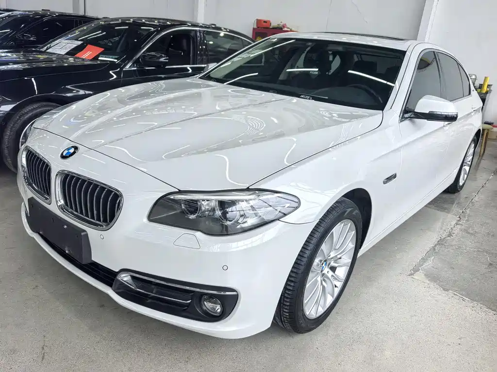 BMW 5 Series New Energy 2016