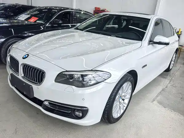 BMW 5 Series New Energy 2016