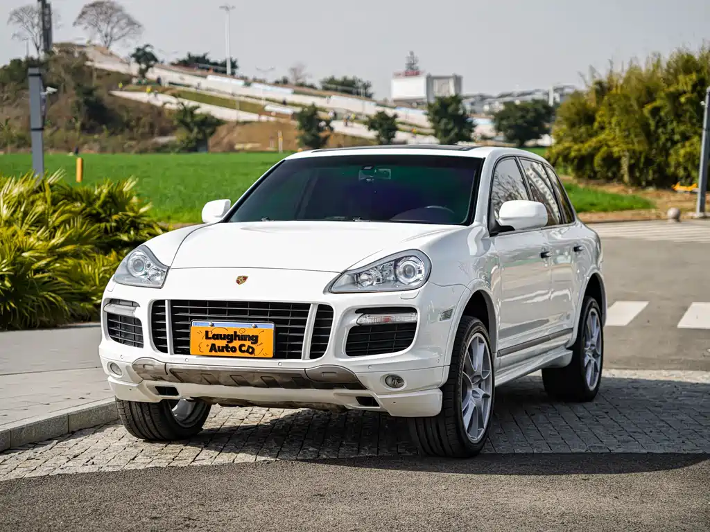 Porsche Cayenne 2010 — фото 16
