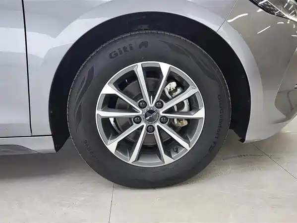 BYD Destroyer 05 2024