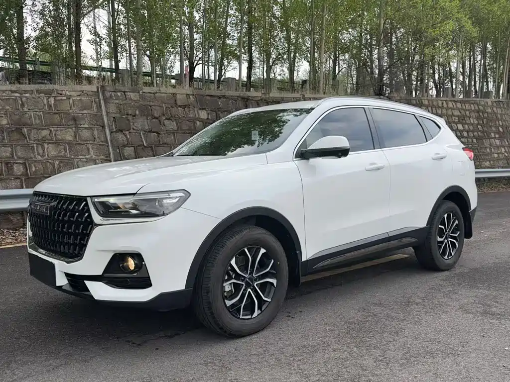 Haval H6 2024 — фото 1