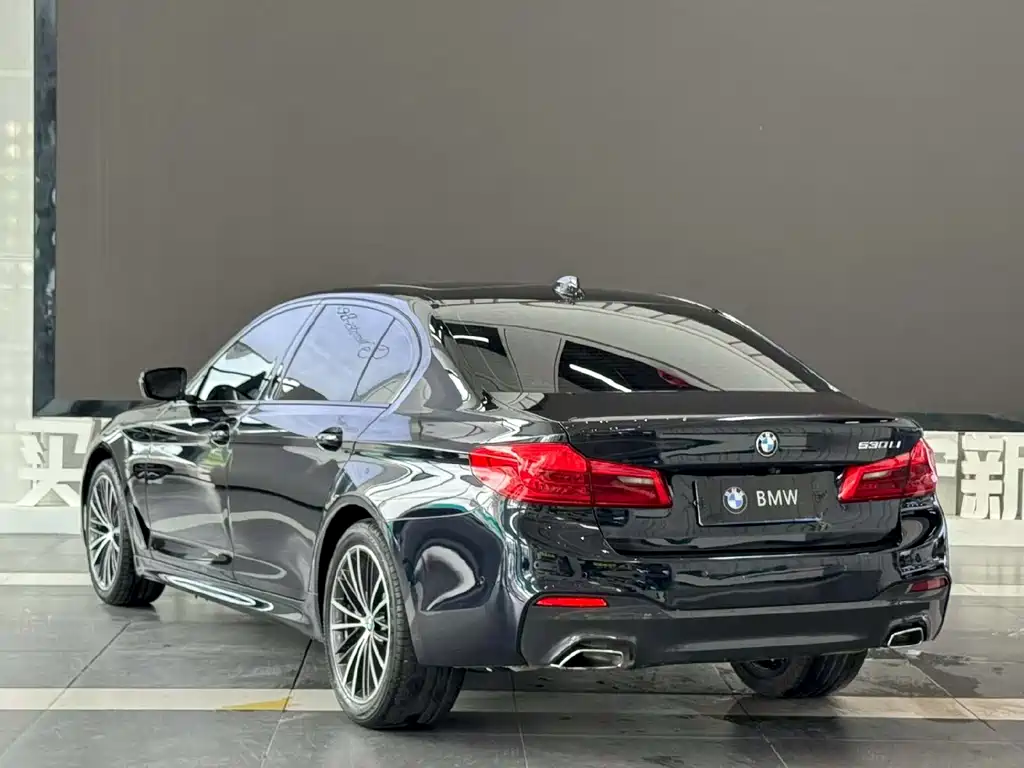BMW 5 Series 2019