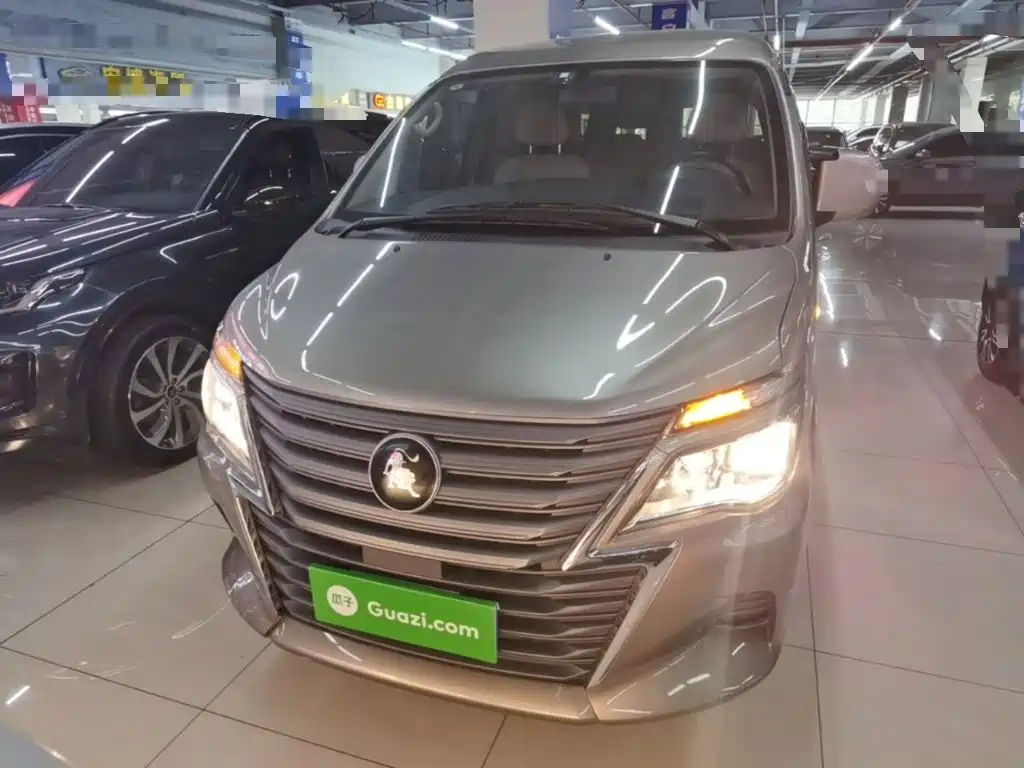 Dongfeng Lingzhi 2025