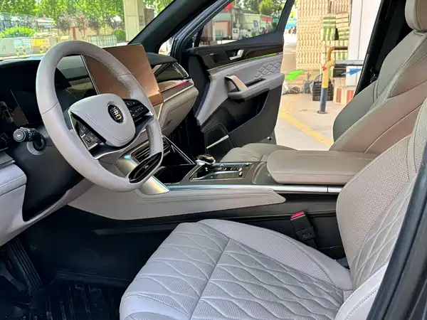 BYD Tang New Energy 2024