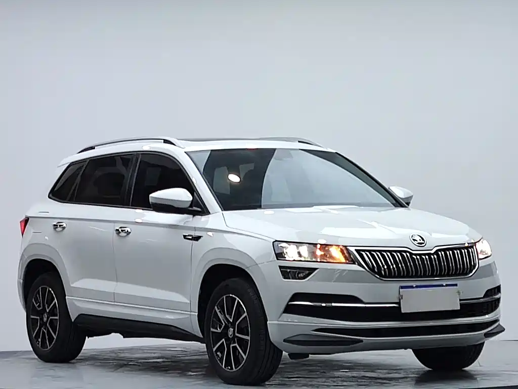 Skoda Karoq 2024 — фото 5