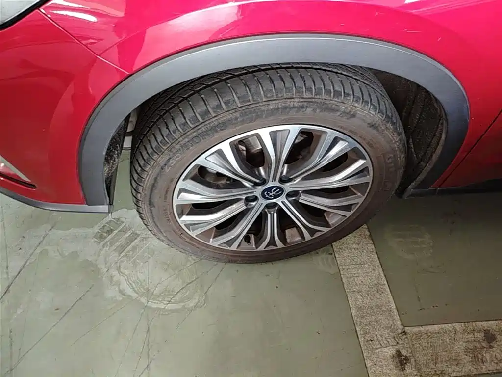 BYD Pro New Energy 2020 — фото 25