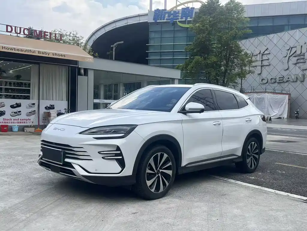 BYD PLUS New Energy 2023 — фото 3
