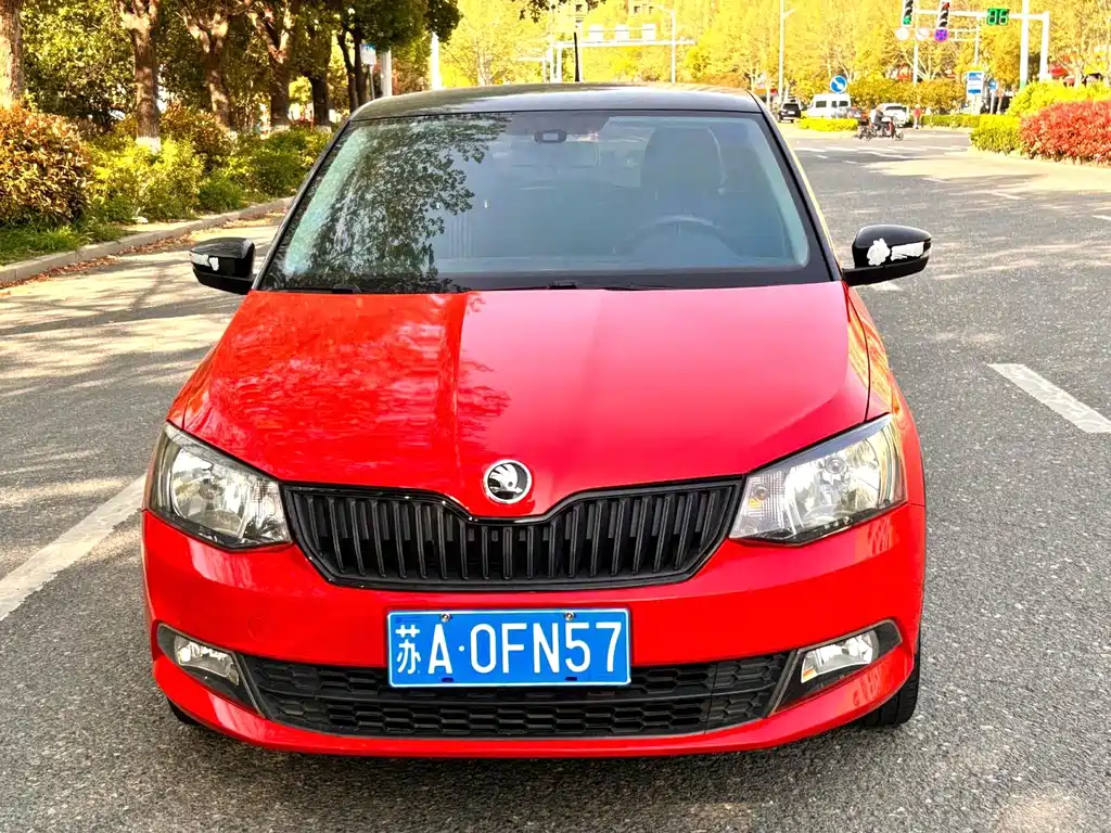 Skoda Fabia 2016 — фото 2