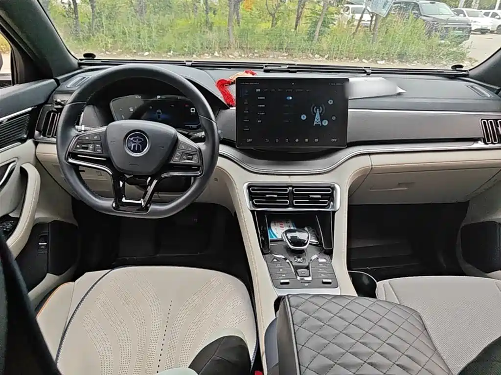 BYD PLUS New Energy 2022 — фото 10